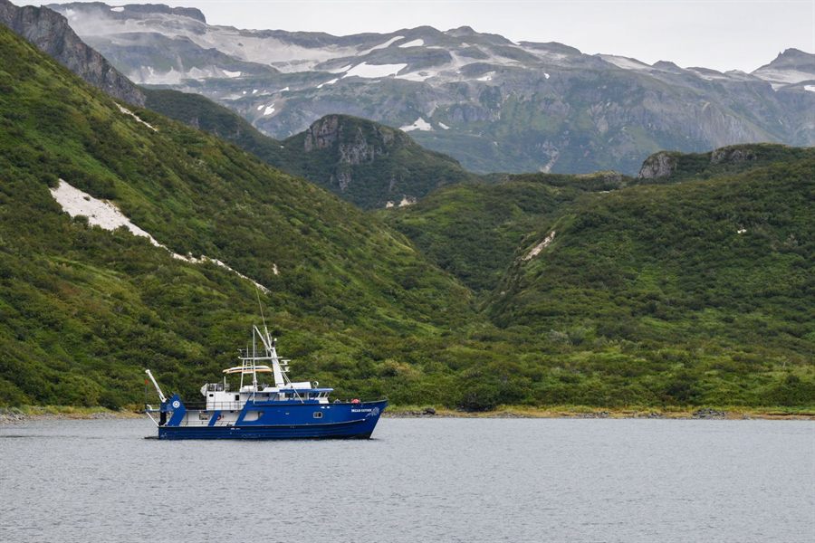 Small blue ship sailing along the green Alaskan coast below snowy mountains, an example of US flagged cruise ships territory