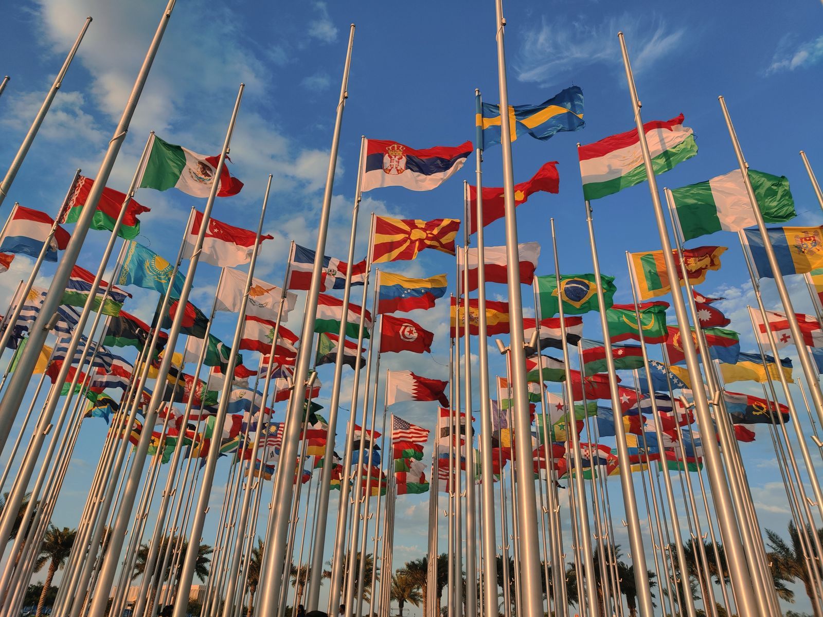 Dozens of national flags on tall poles against a blue sky, the many registries behind cruise ship flags of convenience